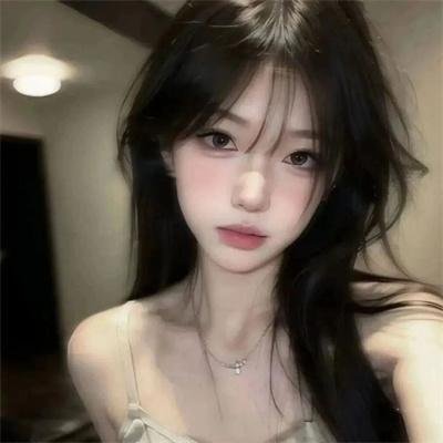美国派:高潮再起